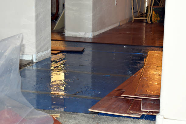Professional Sewage Cleanup technician working in Washington, MI