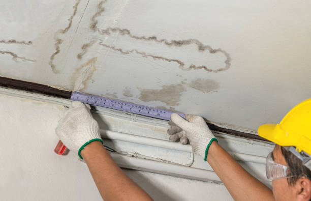 Reliable Sewage Cleanup contractor in Washington, MI by Water Damage Irwin